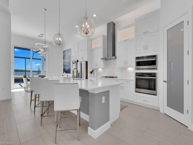 Under Cabinet Lighting & Glass Pantry Door