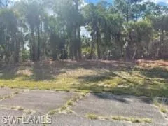 307 S Nancy  LN, Labelle, FL 33935
