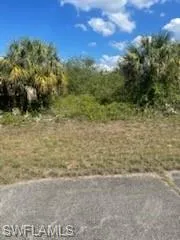 307 S Nancy  LN, Labelle, FL 33935