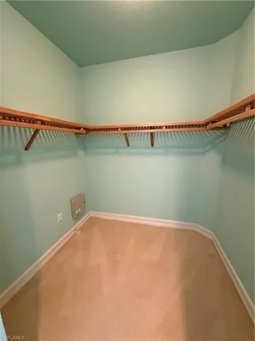 Walk in closet featuring carpet