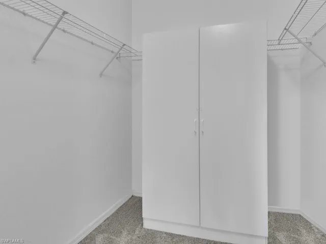 White shaker-style cabinetry with chrome pulls, wire shelving systems, and gray carpet flooring