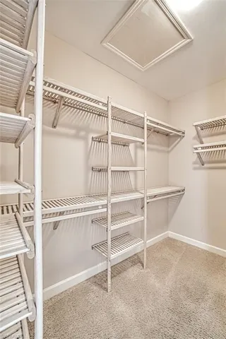 Walk in closet featuring carpet flooring