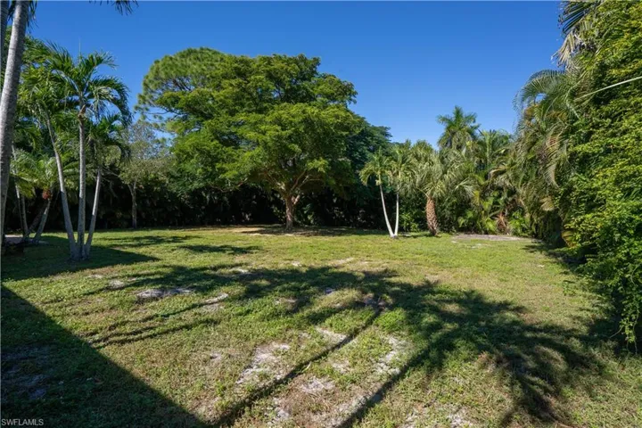 View of grassy yard