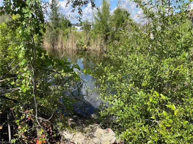 View of local wilderness with a water view