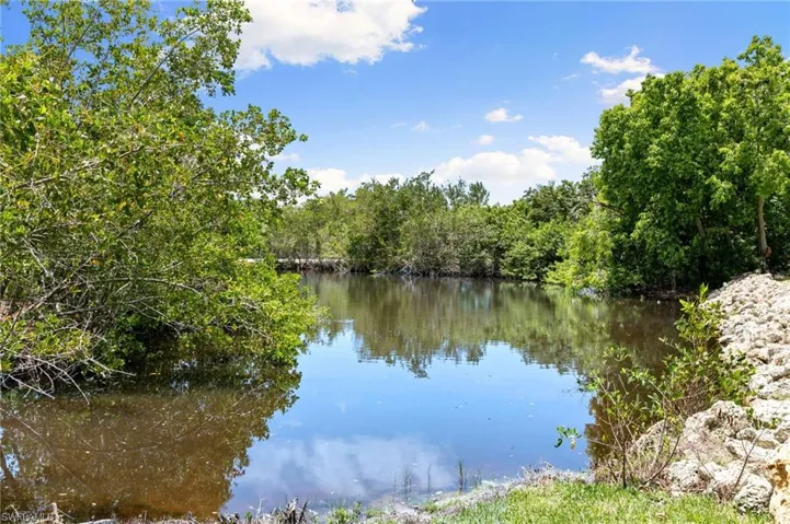 Tropical view of small pond