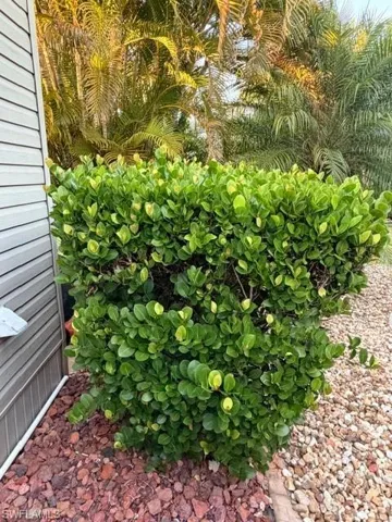 10325 Fire Flag Trl, Fort Myers, Florida 33905