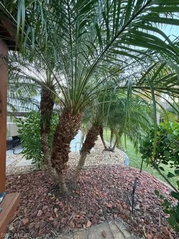 10325 Fire Flag Trl, Fort Myers, Florida 33905