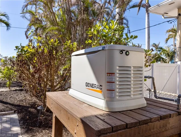 Generator for peace of mind