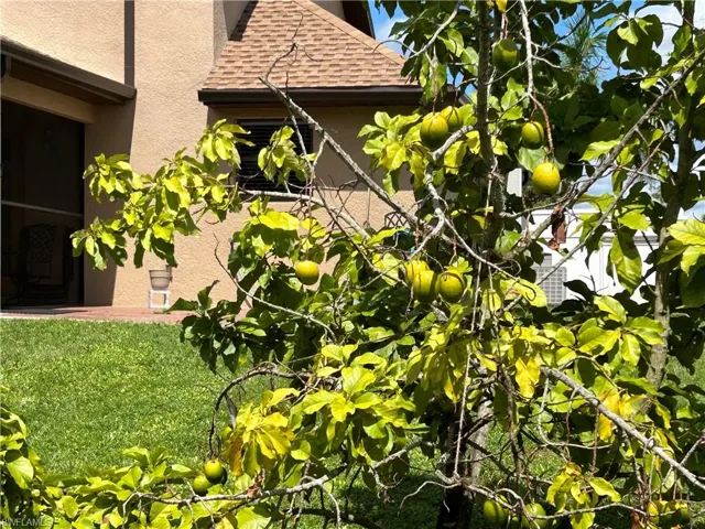 View of side of property with a yard