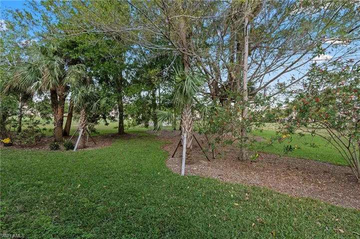 View of yard in back of condo