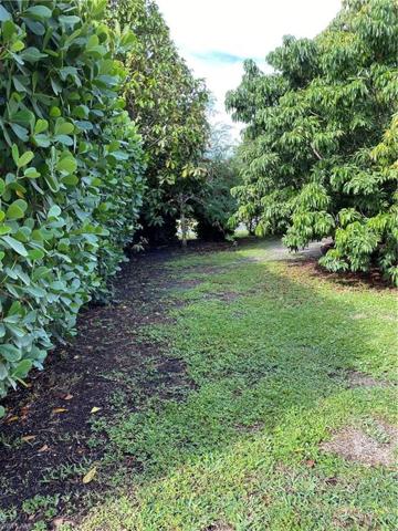 Privacy Hedge