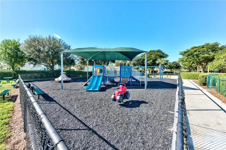 View of jungle gym
