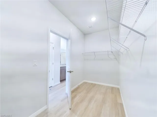 Spacious closet featuring light wood-type flooring