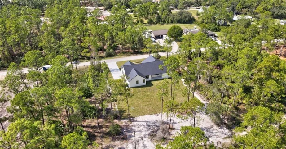 Bird's eye view of a tree filled landscape