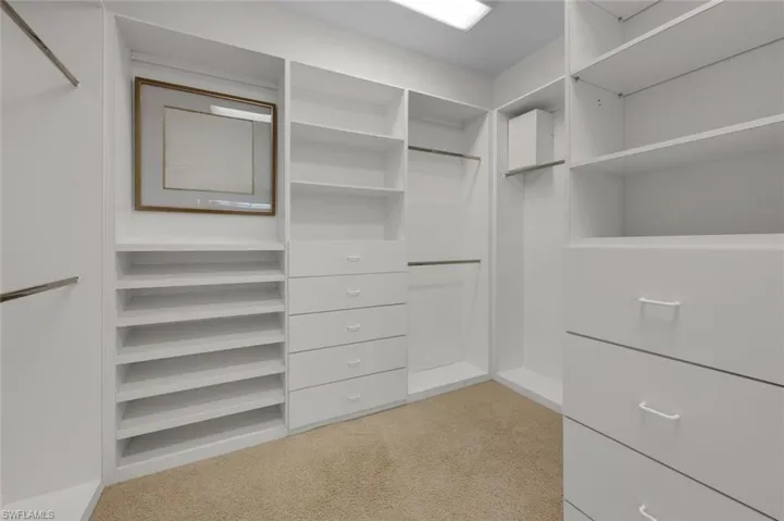 Spacious closet featuring light colored carpet