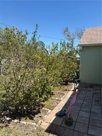View of patio