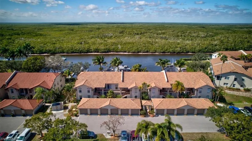 Bird's eye view of a forest and a nearby body of water