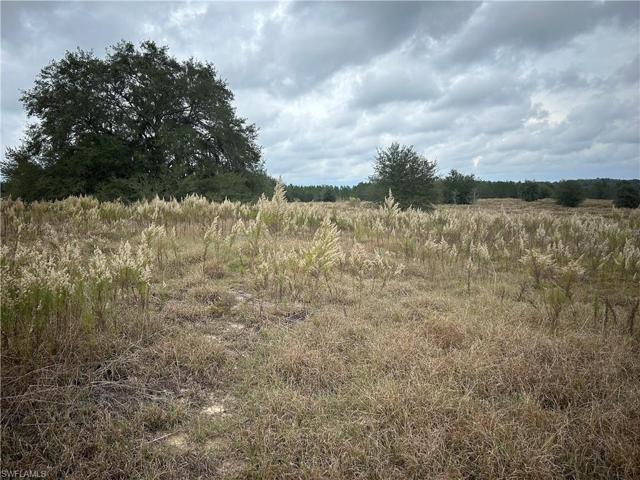 184 N AMBER MEADOWS  TER, INVERNESS, FL 34453
