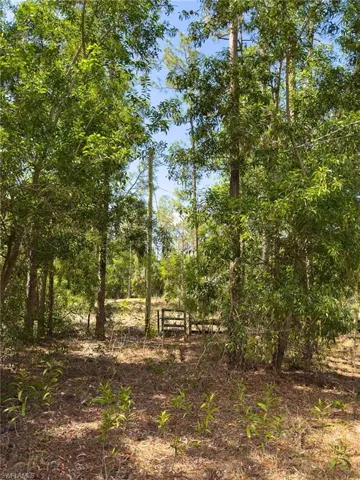 View of landscape