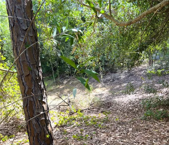 View of nature
