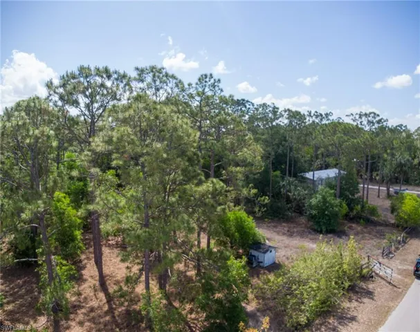 Aerial view featuring a wooded view