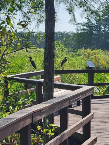 View of wooden deck