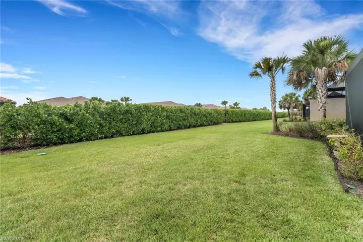 Beautiful back yard