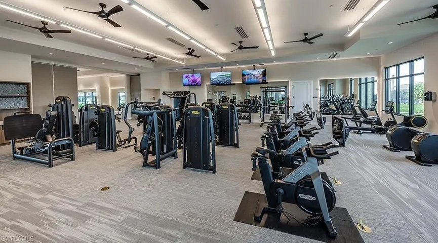 Gym featuring light colored carpet, ceiling fan, and healthy amount of natural light