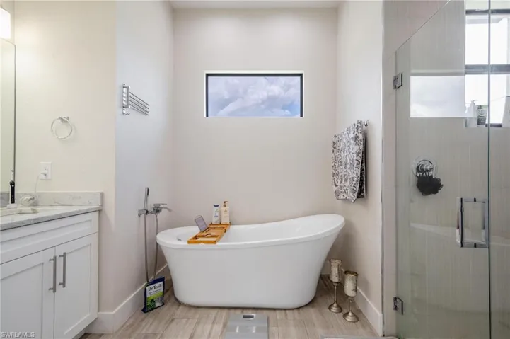 Bathroom with separate shower and tub and vanity