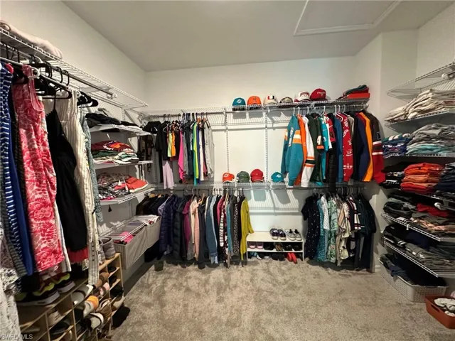Walk in closet with carpet