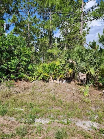 1016 Rush Ave, Lehigh Acres, Florida 33972