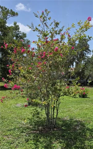 1627 Sunset Trl, Labelle, Florida 33935