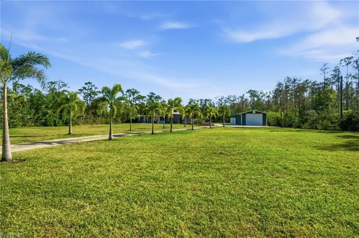 Front yard