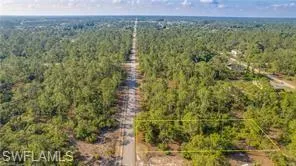 Aerial view of a heavily wooded area