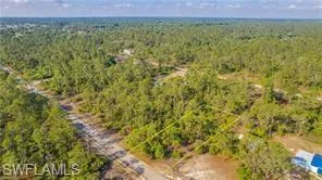 Bird's eye view of a heavily wooded area