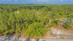 Aerial view of a heavily wooded area
