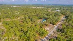 Bird's eye view of a heavily wooded area