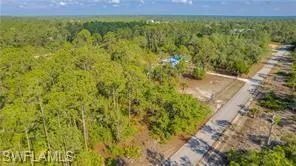 Drone / aerial view of a heavily wooded area