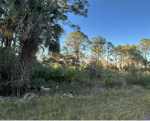 1945 Roderick Ln, Lehigh Acres, Florida 33972