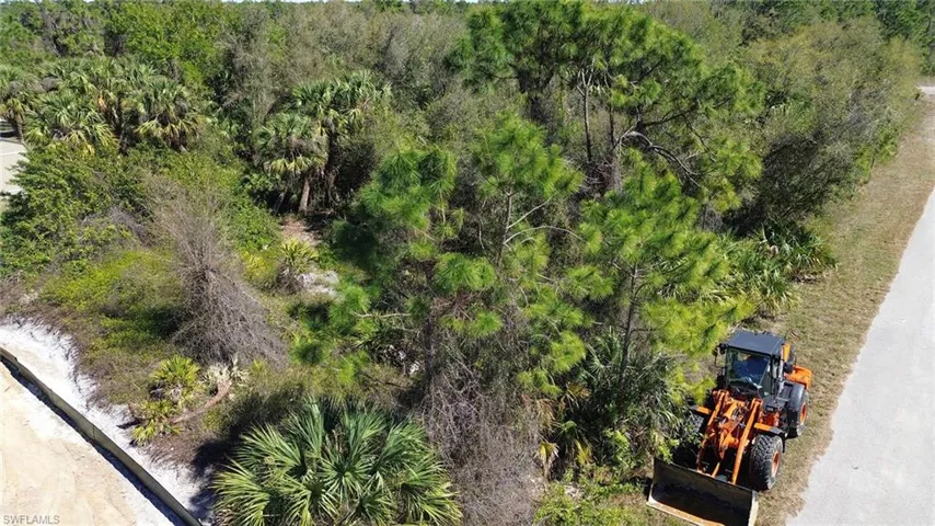 Drone / aerial view featuring a view of trees