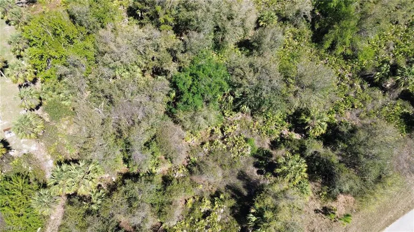 Birds eye view of property featuring a view of trees