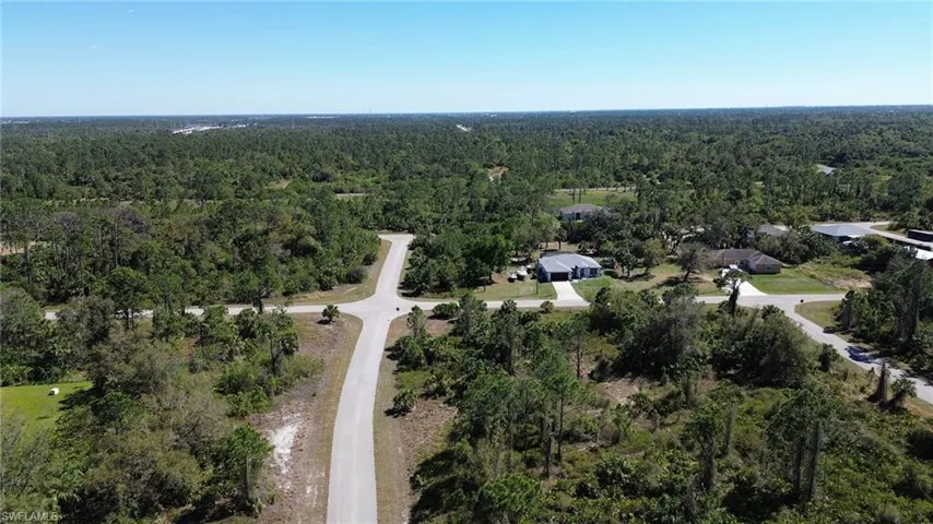 Bird's eye view featuring a forest view