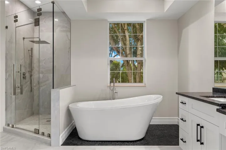 Bathroom featuring vanity, a wealth of natural light, and separate shower and tub