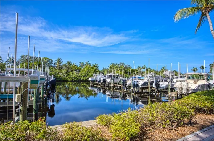 Dock with boat lift and a water view