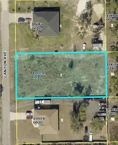 Aerial Plat Map. Indicating the parcel of land at 10039 0010 and surrounding properties with their respective parcel identifiers