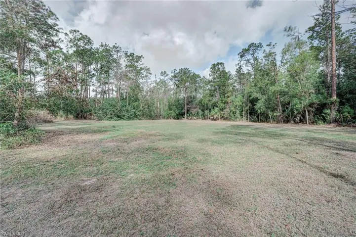 View of grassy yard