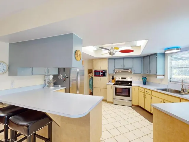 Kitchen featuring a raised ceiling, stainless steel appliances, sink, kitchen peninsula, and a skylight