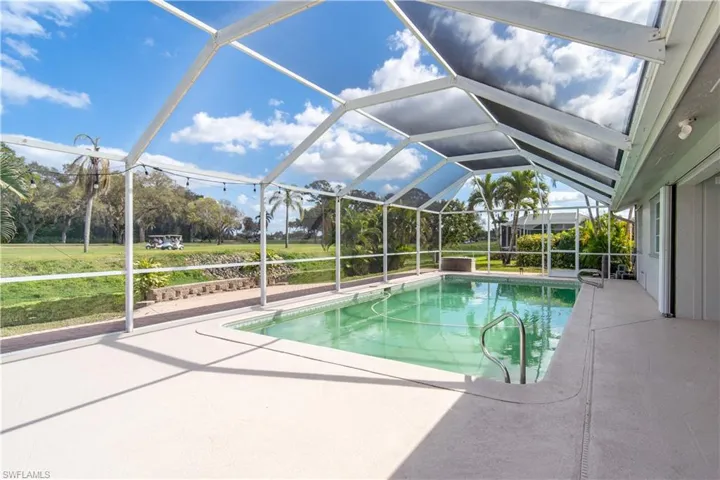 Swimming pool with a patio and a lanai