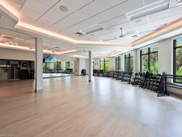 Exercise room featuring a raised ceiling, a drop ceiling, a wealth of natural light, and hardwood / wood-style floors