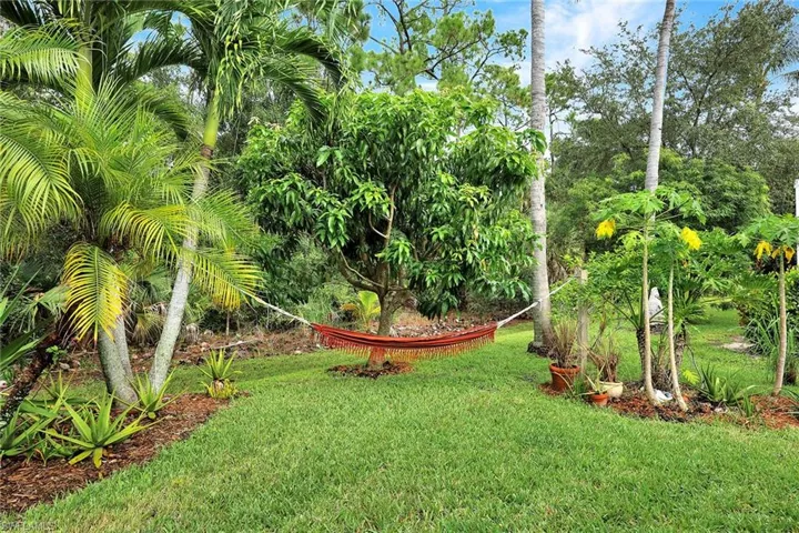Backyard paradise
